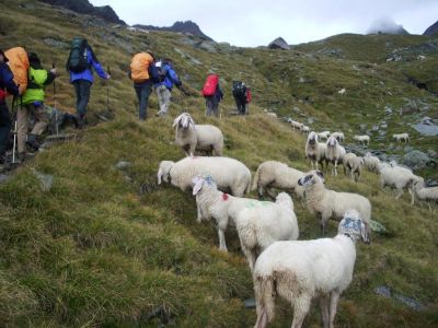 001-Aufstieg zum Schwarzensee